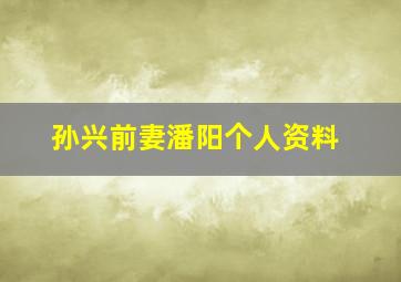 孙兴前妻潘阳个人资料