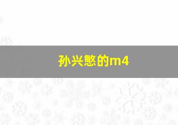 孙兴慜的m4