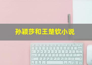 孙颖莎和王楚钦小说