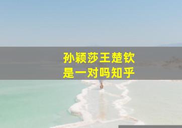 孙颖莎王楚钦是一对吗知乎