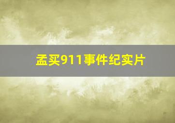 孟买911事件纪实片