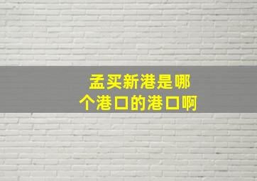 孟买新港是哪个港口的港口啊