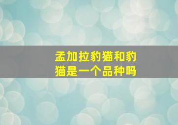 孟加拉豹猫和豹猫是一个品种吗