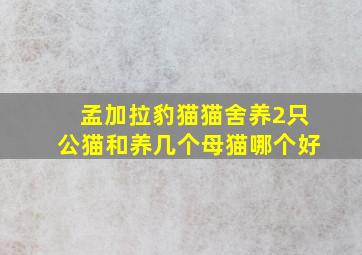 孟加拉豹猫猫舍养2只公猫和养几个母猫哪个好