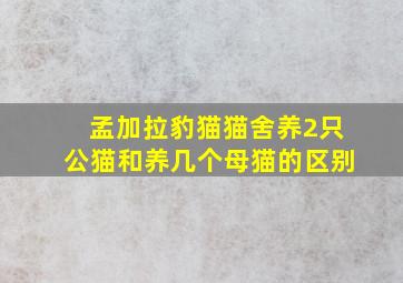 孟加拉豹猫猫舍养2只公猫和养几个母猫的区别