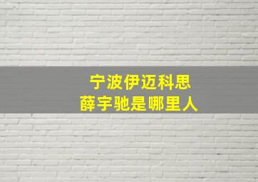 宁波伊迈科思薛宇驰是哪里人