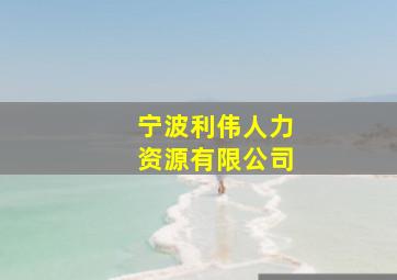 宁波利伟人力资源有限公司