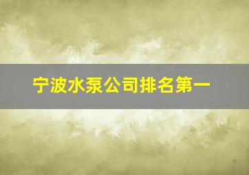 宁波水泵公司排名第一