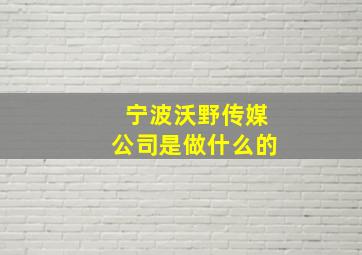 宁波沃野传媒公司是做什么的