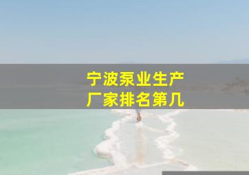 宁波泵业生产厂家排名第几