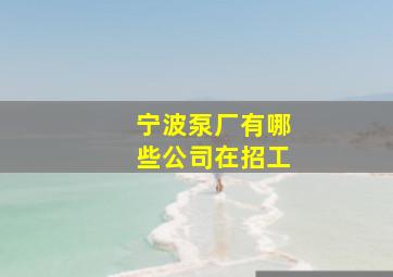 宁波泵厂有哪些公司在招工