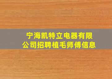 宁海凯特立电器有限公司招聘植毛师傅信息