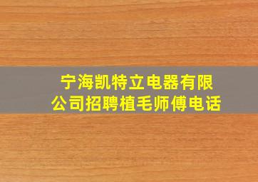 宁海凯特立电器有限公司招聘植毛师傅电话