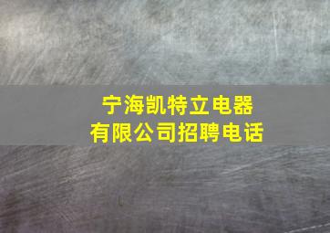 宁海凯特立电器有限公司招聘电话