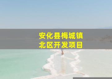 安化县梅城镇北区开发项目