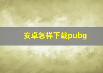 安卓怎样下载pubg