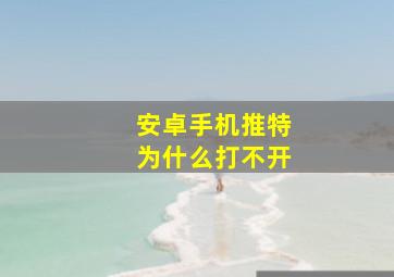 安卓手机推特为什么打不开