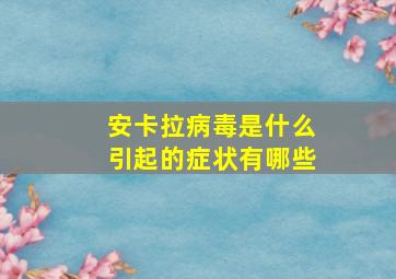 安卡拉病毒是什么引起的症状有哪些