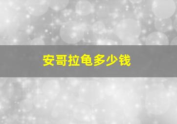 安哥拉龟多少钱