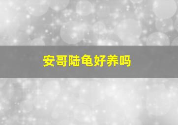 安哥陆龟好养吗