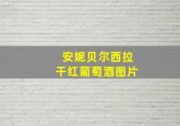 安妮贝尔西拉干红葡萄酒图片