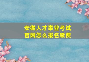 安徽人才事业考试官网怎么报名缴费