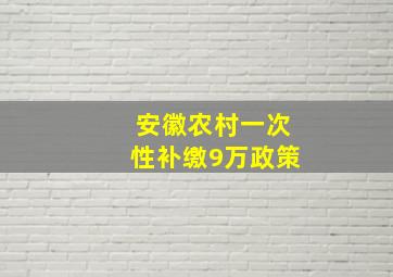 安徽农村一次性补缴9万政策