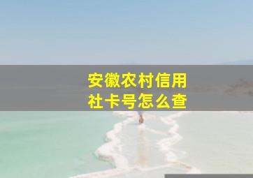 安徽农村信用社卡号怎么查