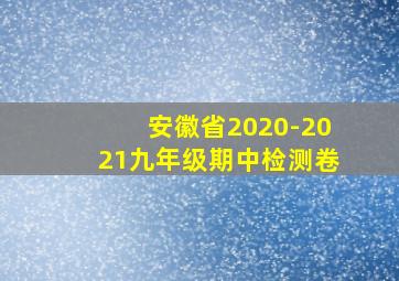 安徽省2020-2021九年级期中检测卷