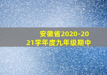 安徽省2020-2021学年度九年级期中