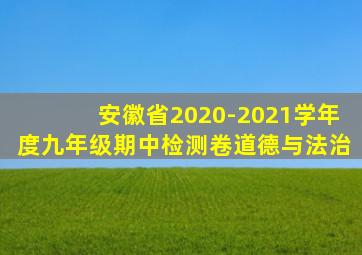 安徽省2020-2021学年度九年级期中检测卷道德与法治