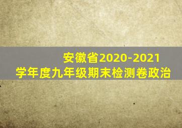 安徽省2020-2021学年度九年级期末检测卷政治