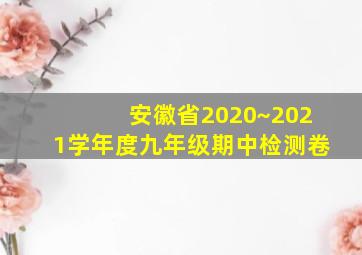 安徽省2020~2021学年度九年级期中检测卷