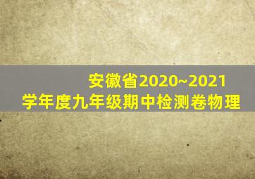 安徽省2020~2021学年度九年级期中检测卷物理