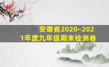 安徽省2020~2021年度九年级期末检测卷