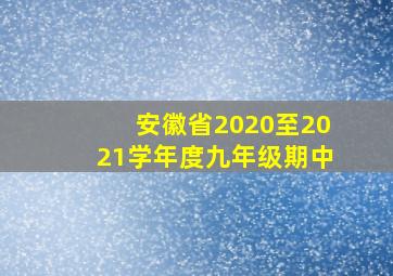 安徽省2020至2021学年度九年级期中