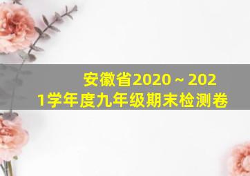 安徽省2020～2021学年度九年级期末检测卷