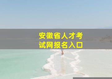 安徽省人才考试网报名入口