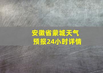 安徽省蒙城天气预报24小时详情