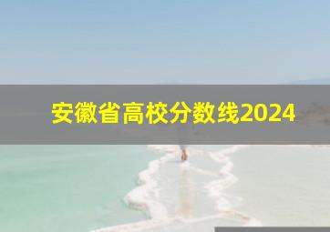 安徽省高校分数线2024