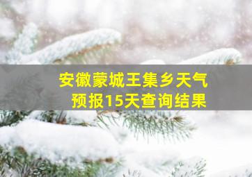 安徽蒙城王集乡天气预报15天查询结果