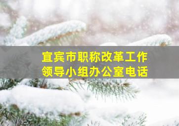 宜宾市职称改革工作领导小组办公室电话