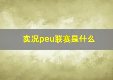 实况peu联赛是什么