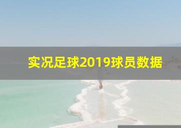 实况足球2019球员数据