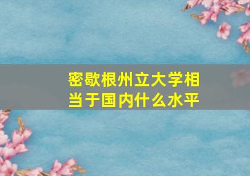 密歇根州立大学相当于国内什么水平