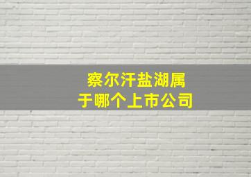 察尔汗盐湖属于哪个上市公司