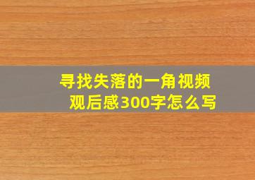 寻找失落的一角视频观后感300字怎么写