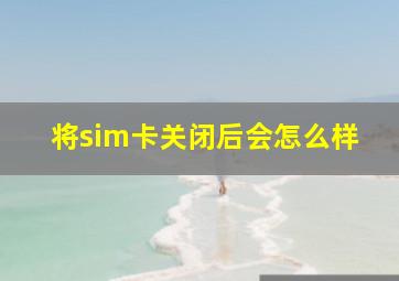 将sim卡关闭后会怎么样