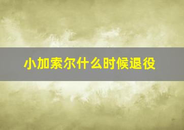 小加索尔什么时候退役