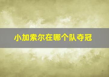 小加索尔在哪个队夺冠